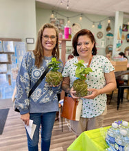 03/24/26-Kokedama Workshop