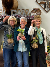 8/12/25-Kokedama Workshop