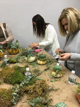 10/9/25-Succulent Pumpkins Workshop