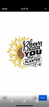 10/19/23-Copper Furrow Brewing Workshop