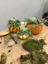 10/9/25-Succulent Pumpkins Workshop