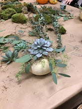 10/9/25-Succulent Pumpkins Workshop