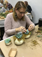 10/9/25-Succulent Pumpkins Workshop