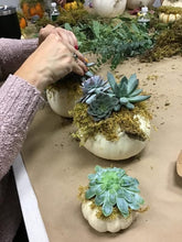 10/9/25-Succulent Pumpkins Workshop