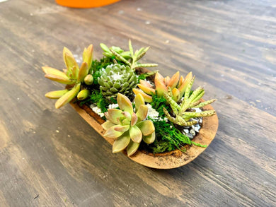 06/04/26-Succulent Planter Workshop