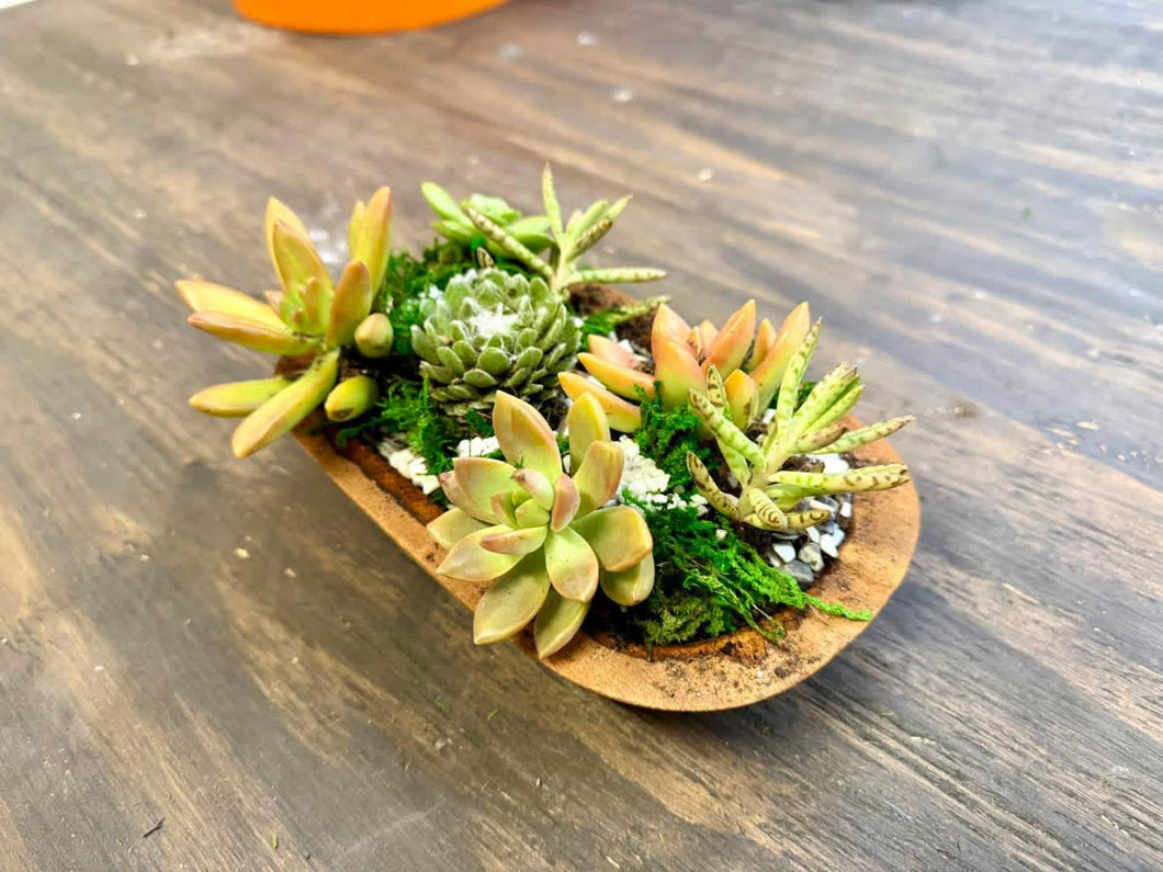 07/09/26-Blooms & Bingo