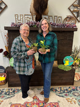 8/12/25-Kokedama Workshop