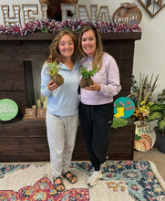 03/24/26-Kokedama Workshop