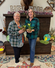 03/24/26-Kokedama Workshop