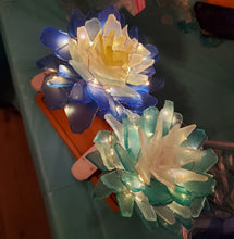 5/28/25-Seaglass Succulents