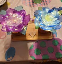 5/28/25-Seaglass Succulents
