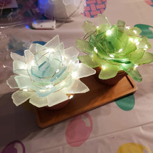 5/28/25-Seaglass Succulents
