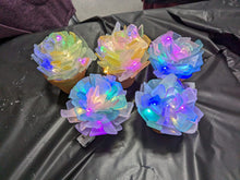 5/28/25-Seaglass Succulents