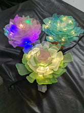 5/28/25-Seaglass Succulents