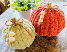 9/28/23-Knit Pumpkin Workshop